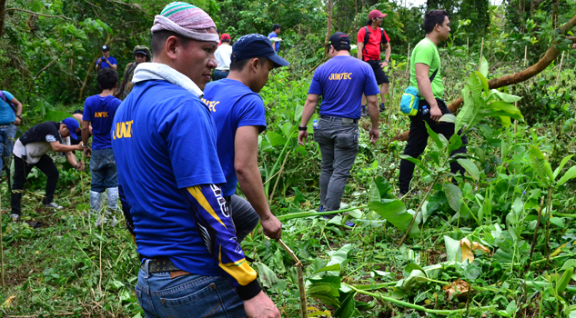 tree planting3